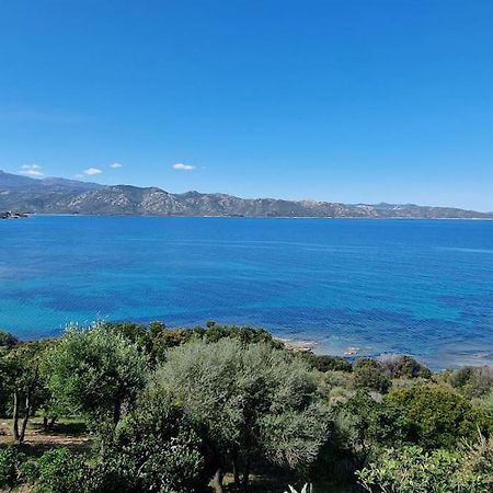 Appartement Sur La Baie De Saint Florent Patrimonio Exterior photo
