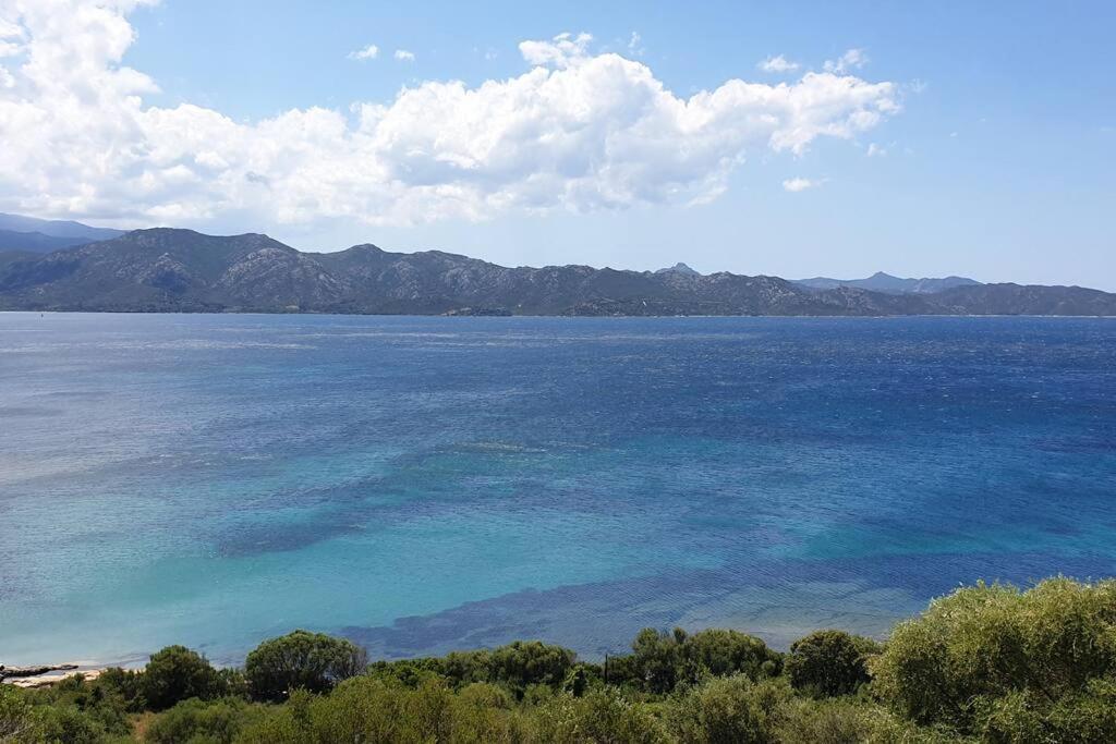 Appartement Sur La Baie De Saint Florent Patrimonio Exterior photo